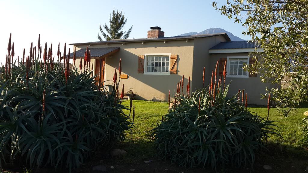 Seven Oaks Vineyard Cottages Wolseley Екстер'єр фото
