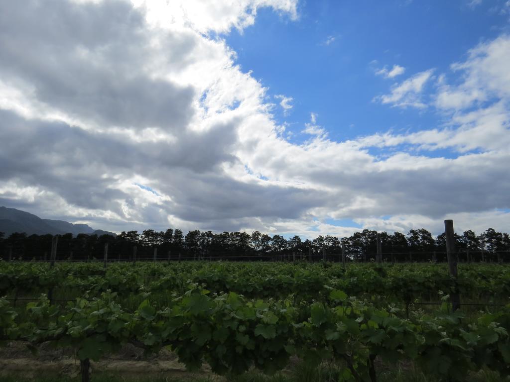 Seven Oaks Vineyard Cottages Wolseley Екстер'єр фото